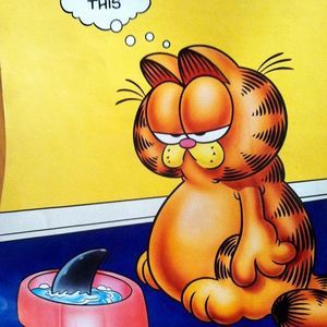 Meet your Posher, Edward